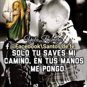 Meet your Posher, Eva